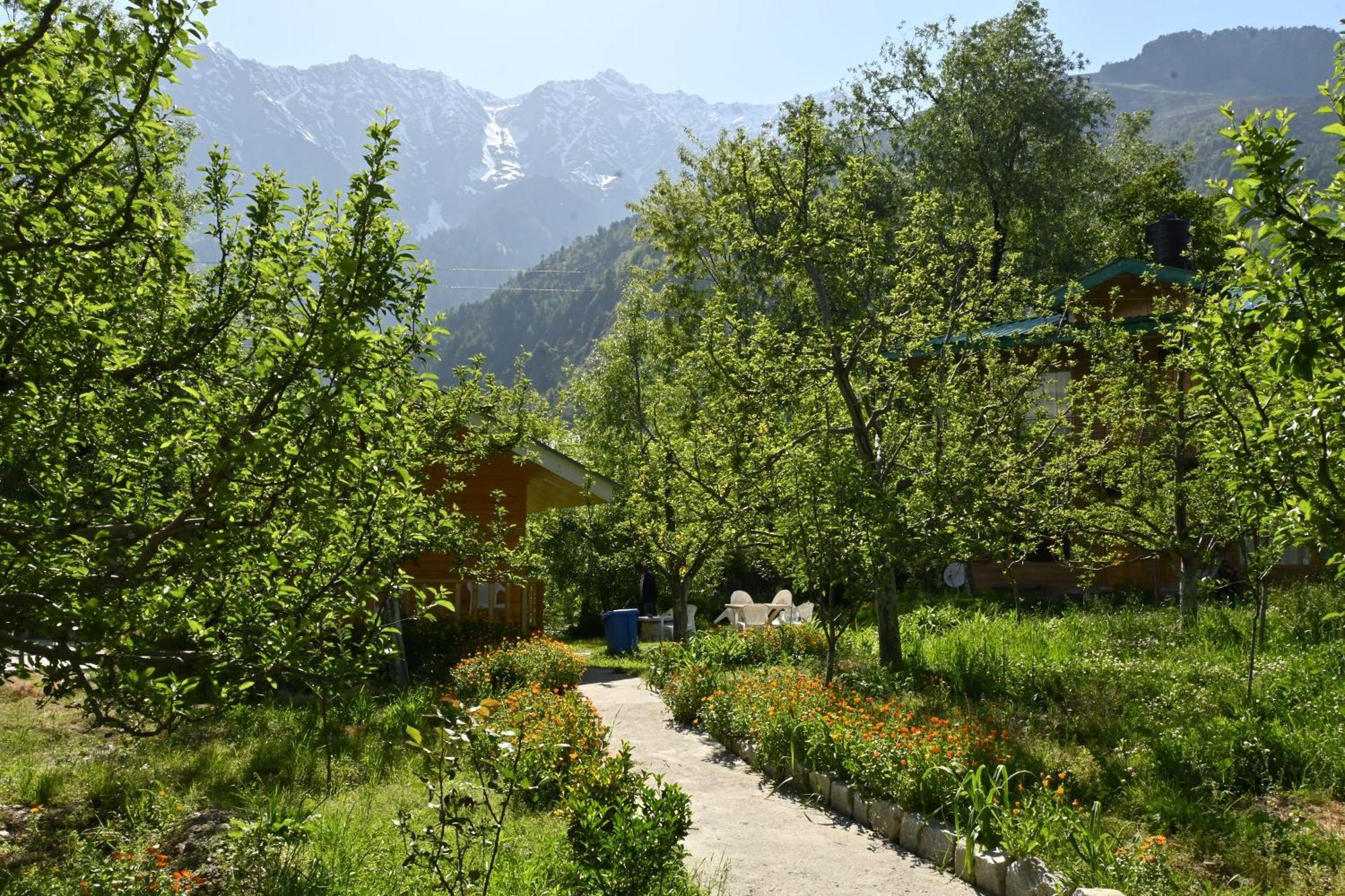 Bed and Breakfast Cascade Mountain Retreat Manali Exteriér fotografie