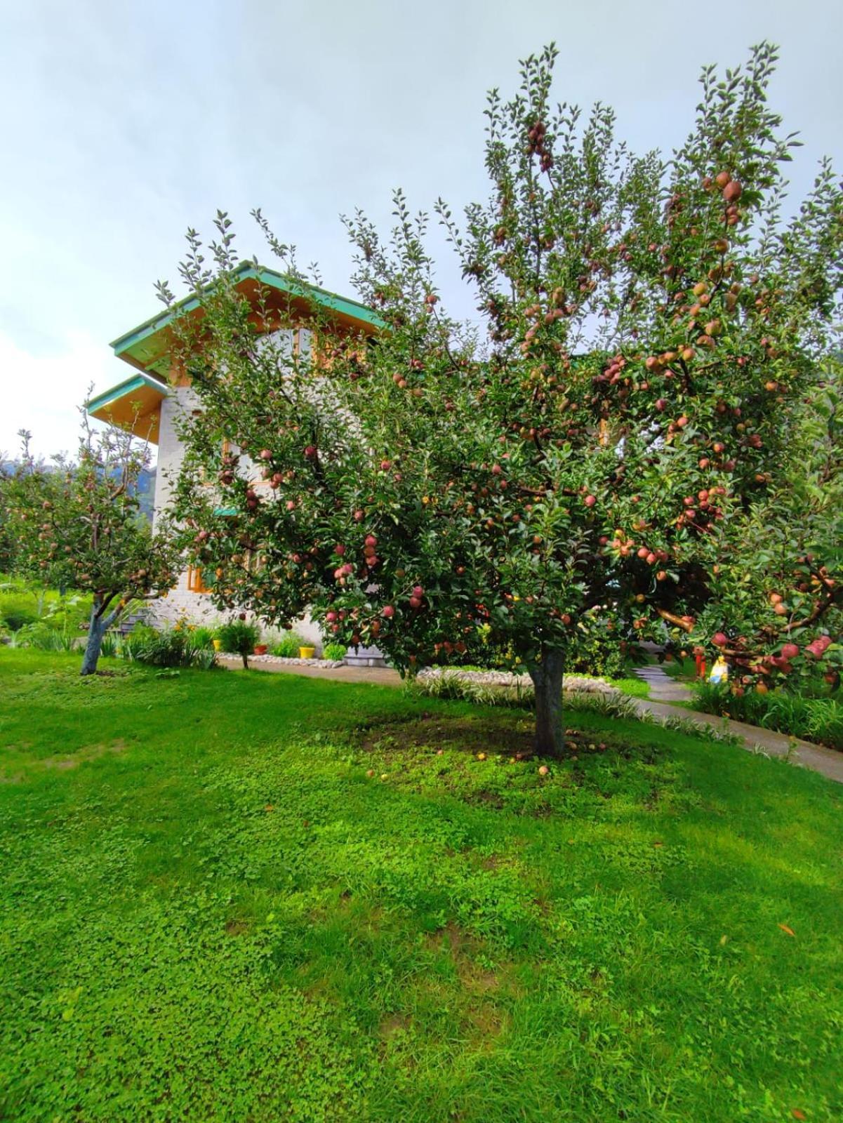 Bed and Breakfast Cascade Mountain Retreat Manali Exteriér fotografie