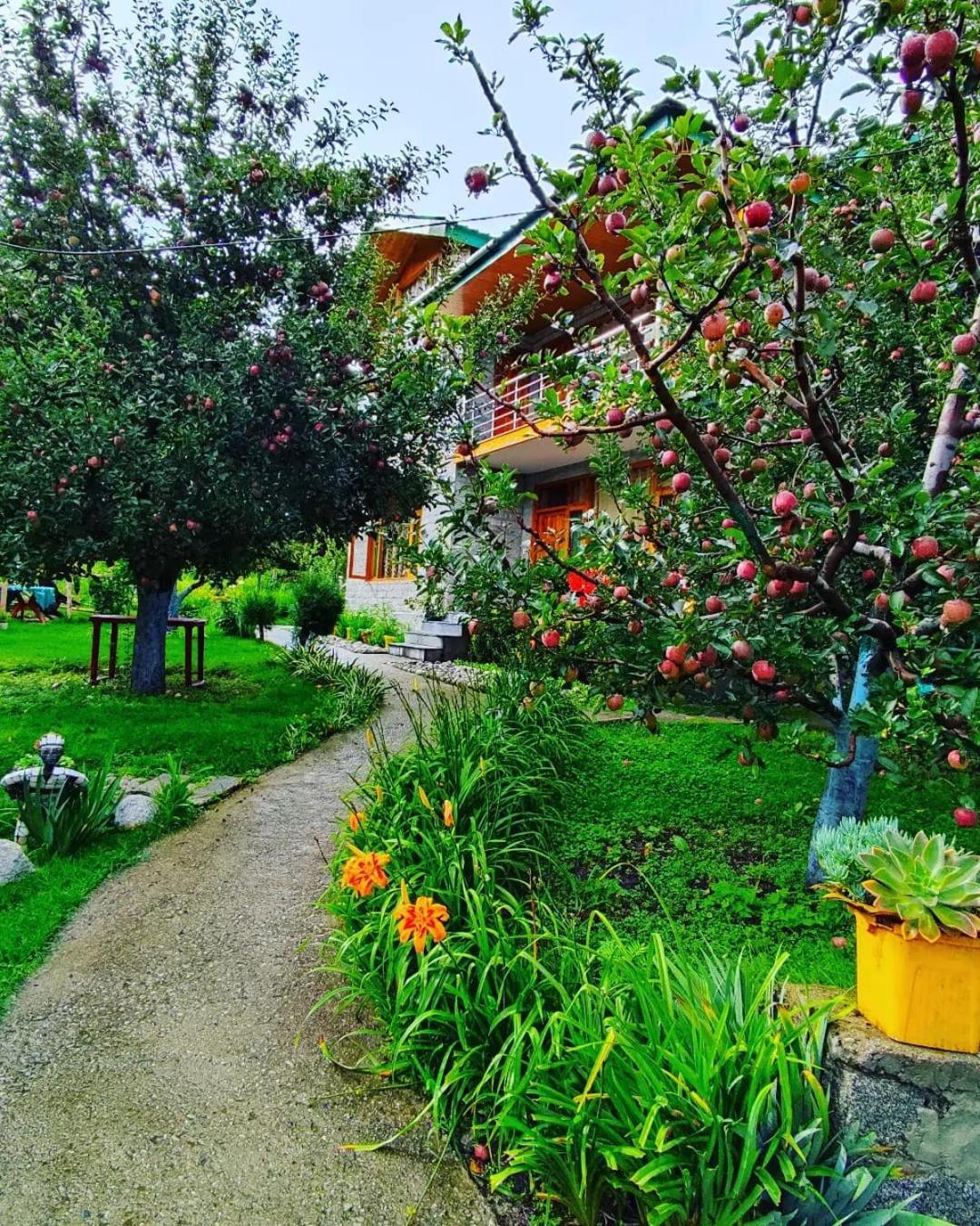 Bed and Breakfast Cascade Mountain Retreat Manali Exteriér fotografie